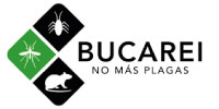 BUCAREI
