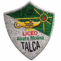 INSIGNIA BORDADA - LAM