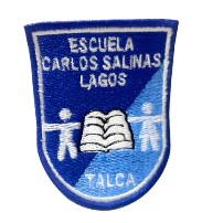 INSIGNIA BORDADA - ESCUELA CARLOS SALINAS